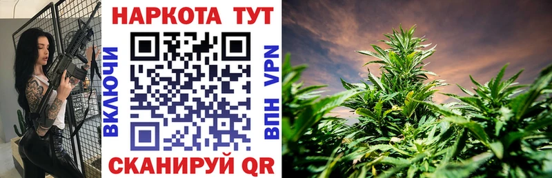 Магазин наркотиков Дно Конопля  АМФ  Кокаин  МЕТАМФЕТАМИН  ГАШИШ  МЕФ  Alpha PVP 